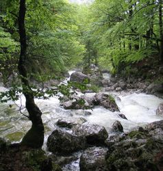 Riviertjes in Slovenië